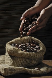 cocoa-beans-499970_960_720